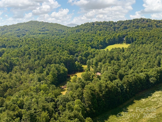 599 Red Fox Ln, Flat Rock, NC 28731 - aerial view of a heavily wooded area and a mountain backdrop