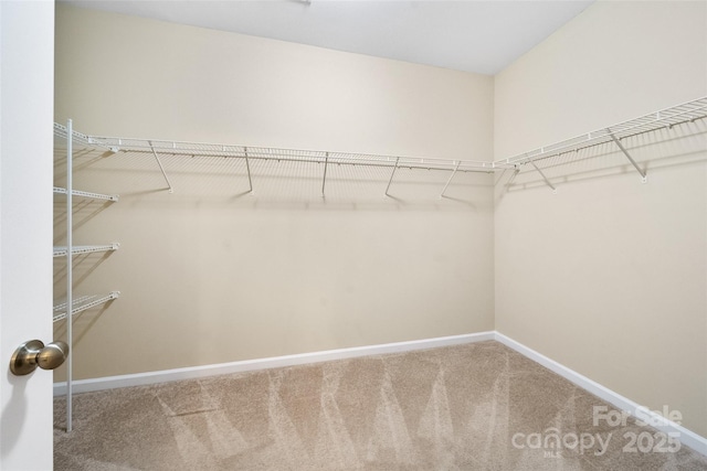 119 Front Porch Dr Unit 46, Rock Hill, SC 29732 - photo 21