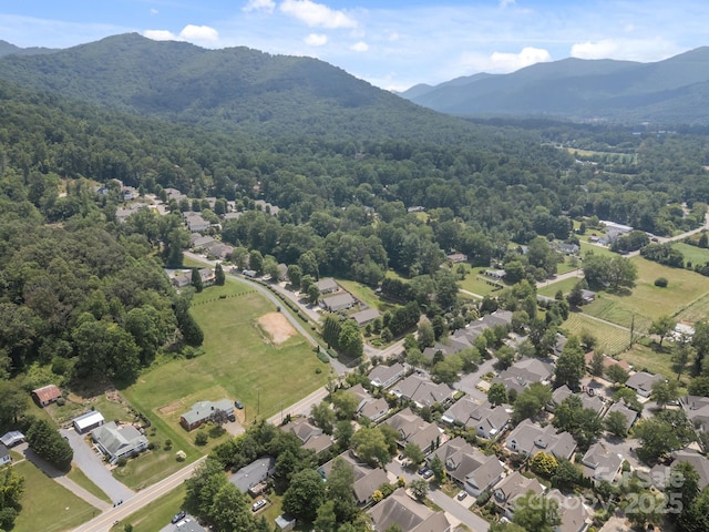 8 Beekeeper Trl, Swannanoa, NC 28778 - photo 29