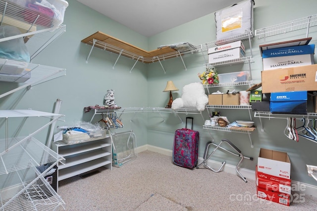 2301 Willow Creek Dr, Newton, NC 28658 - spacious closet with carpet floors