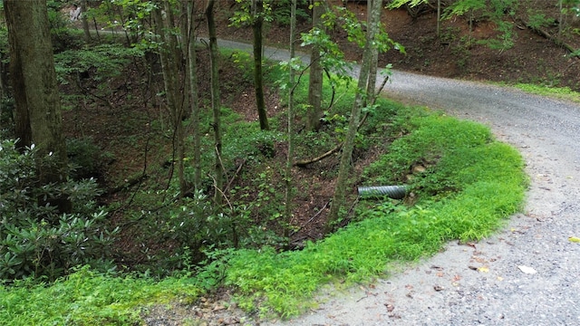 890 White Rock Rd, Lenoir, NC 28645 - photo 5