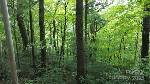 890 White Rock Rd, Lenoir, NC 28645 - photo 8