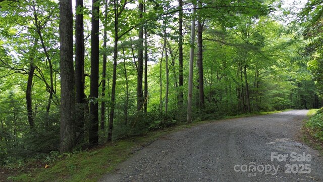 890 White Rock Rd, Lenoir, NC 28645 - photo 9
