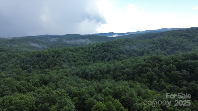 890 White Rock Rd, Lenoir, NC 28645 - photo 10