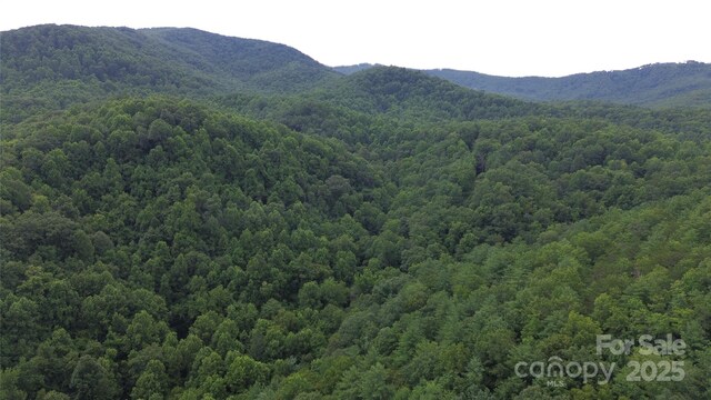 890 White Rock Rd, Lenoir, NC 28645 - photo 11