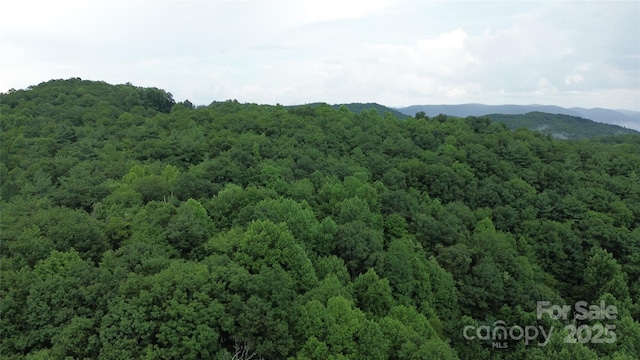890 White Rock Rd, Lenoir, NC 28645 - photo 12