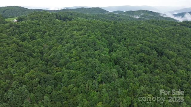 890 White Rock Rd, Lenoir, NC 28645 - photo 13