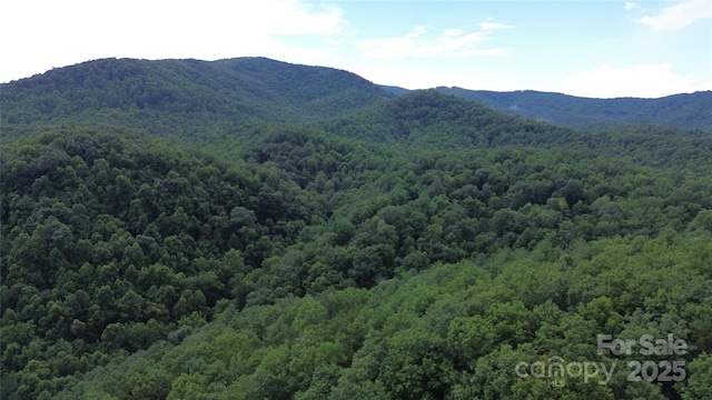 890 White Rock Rd, Lenoir, NC 28645 - photo 14