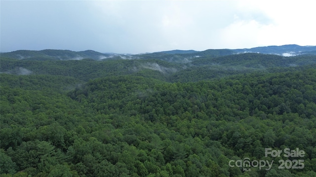 890 White Rock Rd, Lenoir, NC 28645 - photo 1