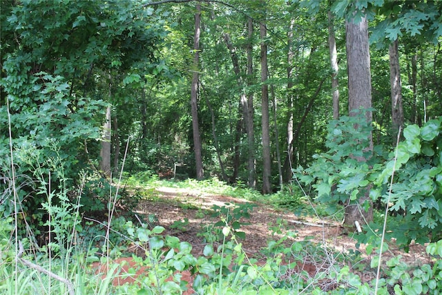 7220 Little Mountain Rd, Sherrills Ford, NC 28673