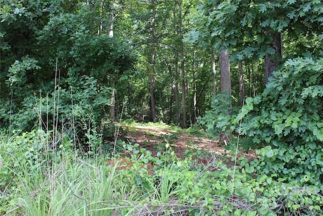 7220 Little Mountain Rd, Sherrills Ford, NC 28673