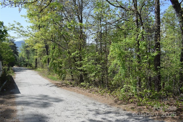 0 Winter Dr Lot 7, Mill Spring, NC 28756 - photo 1