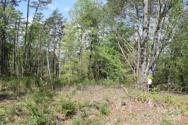 0 Winter Dr Lot 7, Mill Spring, NC 28756 - photo 2