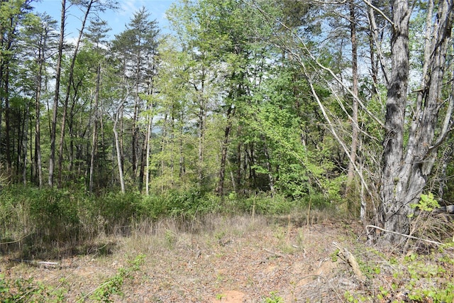 0 Winter Dr Lot 7, Mill Spring, NC 28756 - photo 3