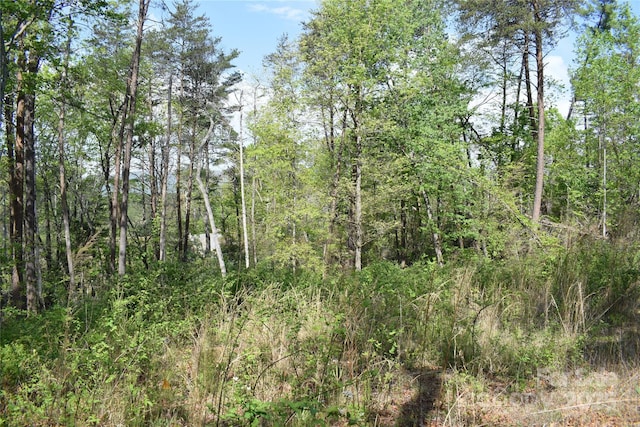 0 Winter Dr Lot 7, Mill Spring, NC 28756 - photo 4