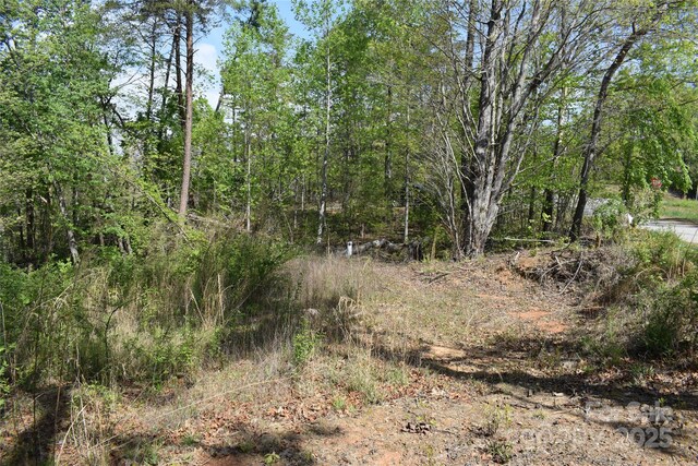 0 Winter Dr Lot 7, Mill Spring, NC 28756 - photo 5
