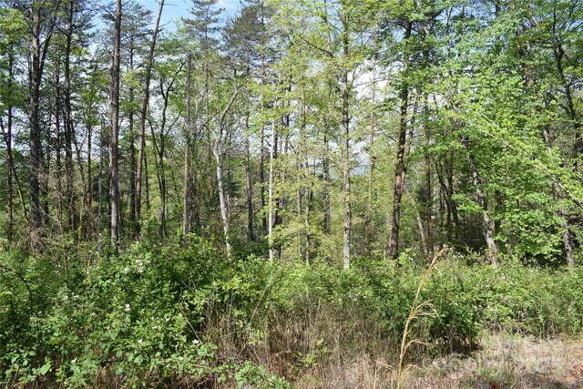 0 Winter Dr Lot 7, Mill Spring, NC 28756 - photo 6