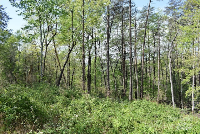 0 Winter Dr Lot 7, Mill Spring, NC 28756 - photo 8