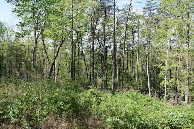 0 Winter Dr Lot 7, Mill Spring, NC 28756 - photo 11