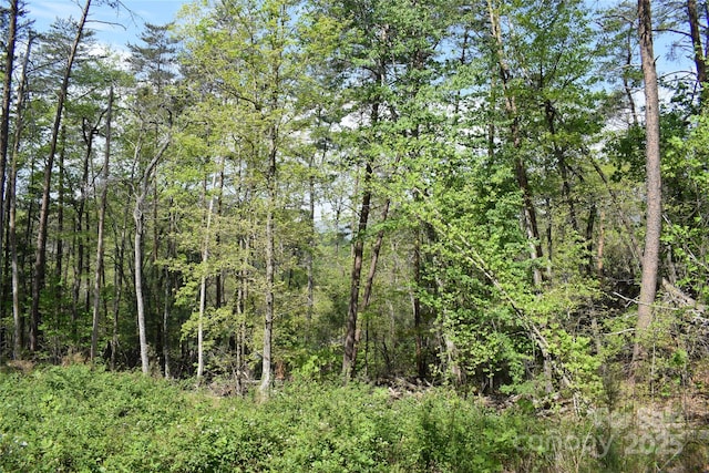 0 Winter Dr Lot 7, Mill Spring, NC 28756 - photo 12