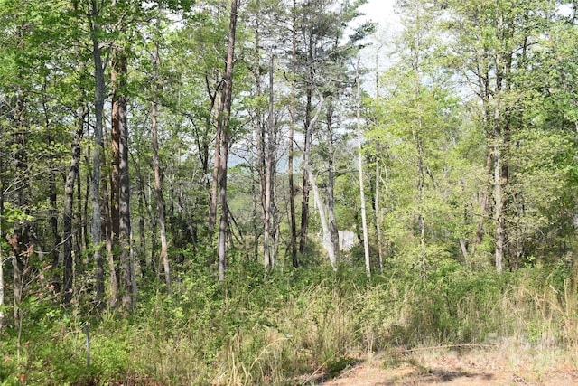 0 Winter Dr Lot 7, Mill Spring, NC 28756 - photo 13