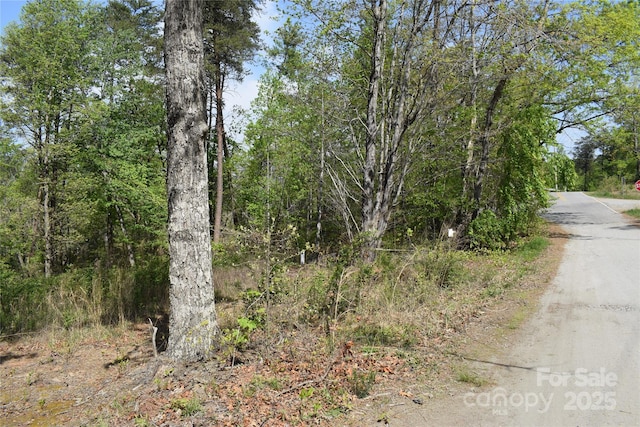 0 Winter Dr Lot 7, Mill Spring, NC 28756 - photo 14