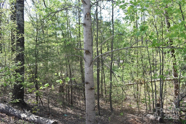 0 Winter Dr Lot 7, Mill Spring, NC 28756 - photo 16