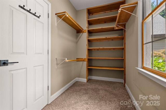 60 Bridge Ln, Tryon, NC 28782 - walk in closet featuring carpet floors