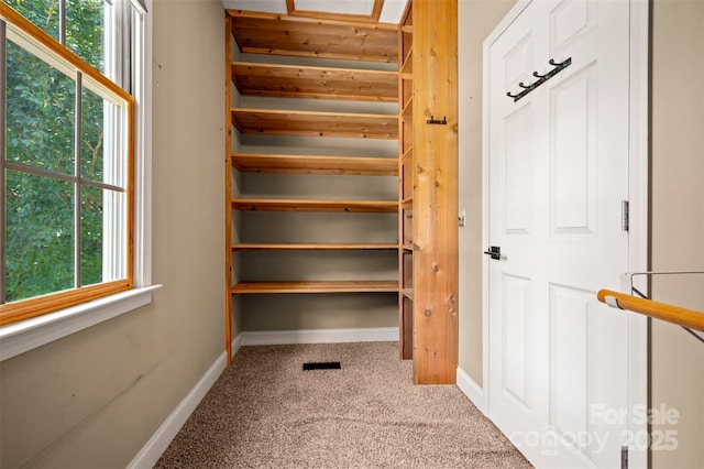 60 Bridge Ln, Tryon, NC 28782 - spacious closet featuring carpet floors