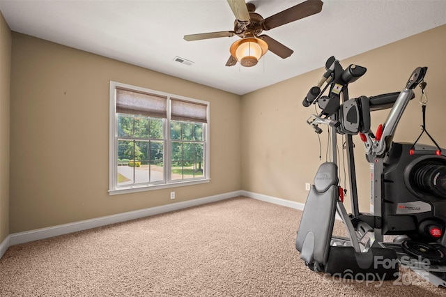 60 Bridge Ln, Tryon, NC 28782 - exercise room with carpet floors and ceiling fan