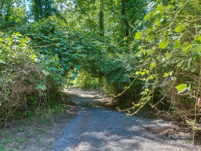 60 Bridge Ln, Tryon, NC 28782 - view of street