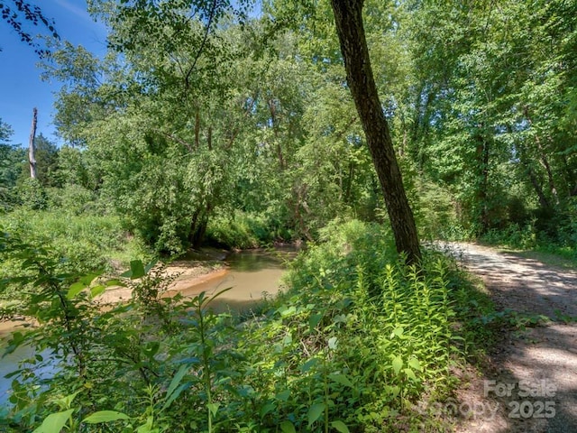 60 Bridge Ln, Tryon, NC 28782 - view of local wilderness