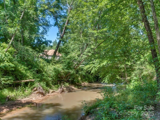 60 Bridge Ln, Tryon, NC 28782 - water view