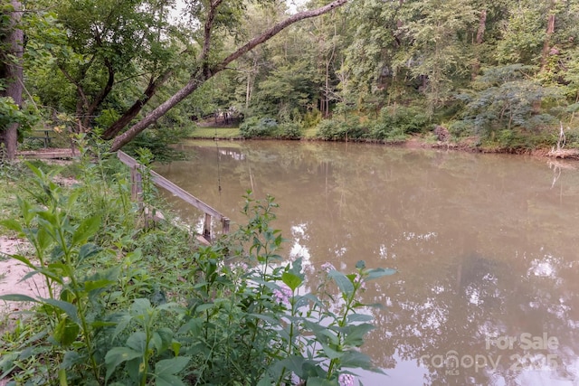 169 River Creek Dr, Rutherfordton, NC 28139 - photo 26