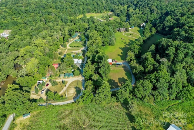 169 River Creek Dr, Rutherfordton, NC 28139 - photo 46