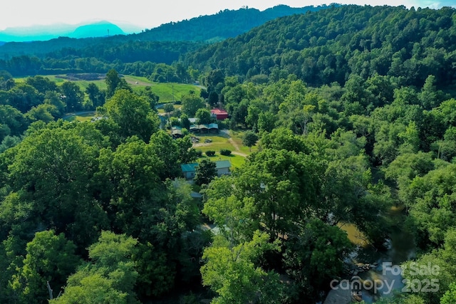 169 River Creek Dr, Rutherfordton, NC 28139 - photo 47