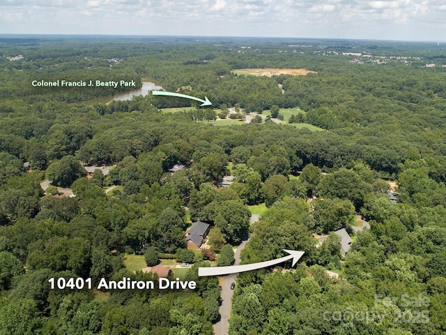 10401 Andiron Dr, Matthews, NC 28105 - photo 38