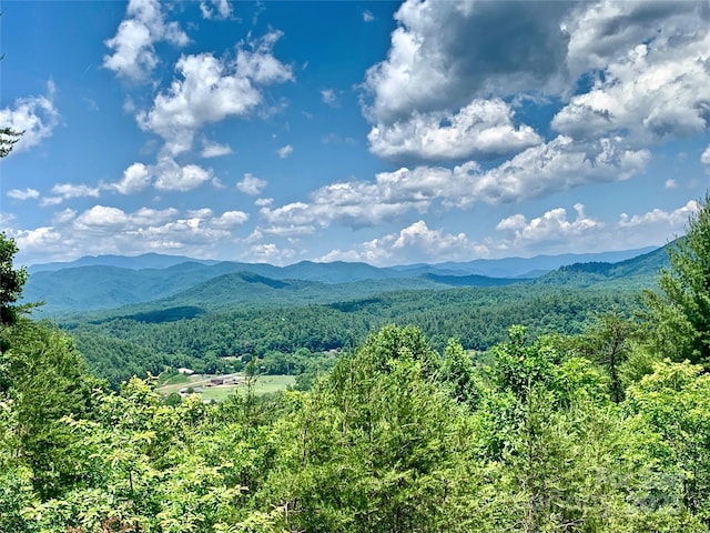 1879 Johns Ridge Parkway Lot 163, Lenoir, NC 28645 - photo 1