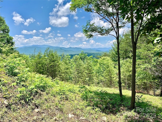 1879 Johns Ridge Parkway Lot 163, Lenoir, NC 28645 - photo 2