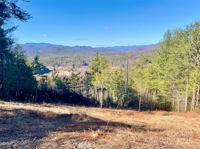 1879 Johns Ridge Parkway Lot 163, Lenoir, NC 28645 - photo 4