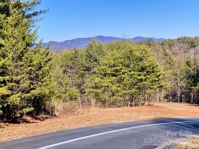 1879 Johns Ridge Parkway Lot 163, Lenoir, NC 28645 - photo 5
