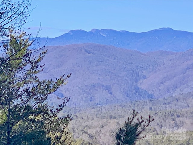 1879 Johns Ridge Parkway Lot 163, Lenoir, NC 28645 - photo 6