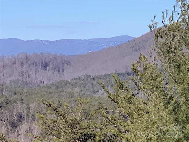 1879 Johns Ridge Parkway Lot 163, Lenoir, NC 28645 - photo 7