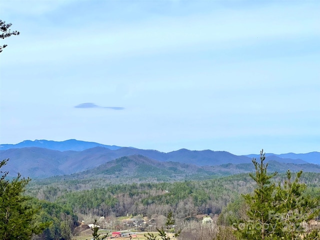 1879 Johns Ridge Parkway Lot 163, Lenoir, NC 28645 - photo 8