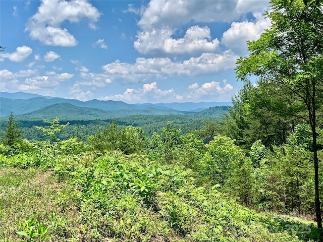 1879 Johns Ridge Parkway Lot 163, Lenoir, NC 28645 - photo 9