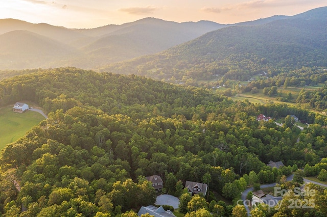 64 Nuthatch Ct, Fairview, NC 28730 - photo 40