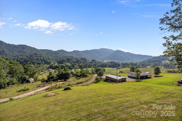 131 Tobacco Trl, Canton, NC 28716 - photo 33