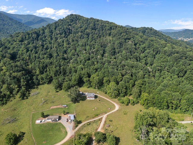 131 Tobacco Trl, Canton, NC 28716 - photo 36