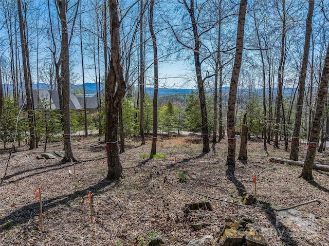 96 Split Rock Trl Unit 5, Arden, NC 28704 - photo 1