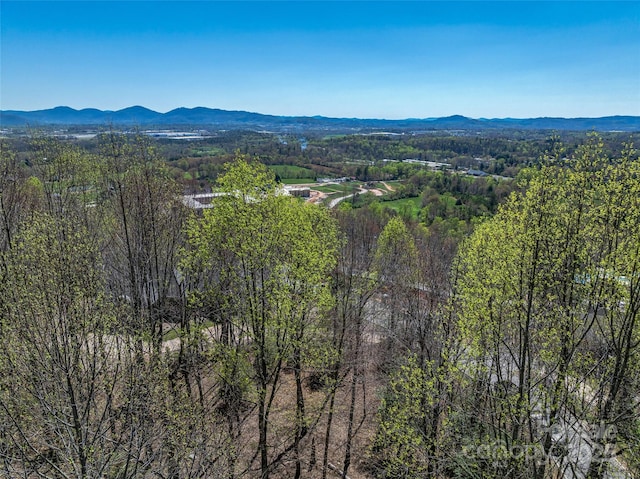 96 Split Rock Trl Unit 5, Arden, NC 28704 - photo 2